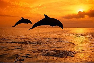 《勇者斗恶龙3：HD-2D重制版》新截图 展示更多场景