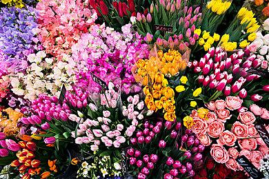 青春校园奇幻AVG视觉小说《神明高中生》，现已在steam平台公开商店页面！